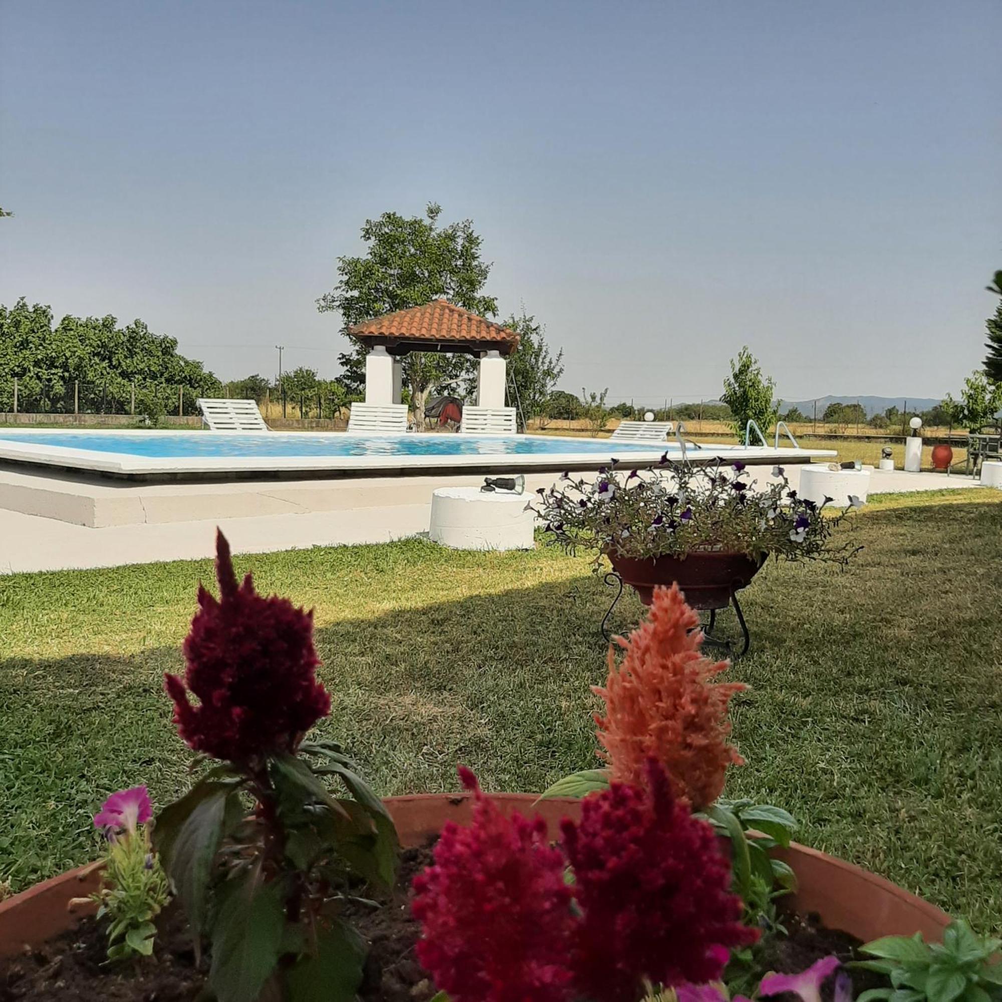 Villa Αρχοντικό Παπανικολάου Ligaria  Exterior foto